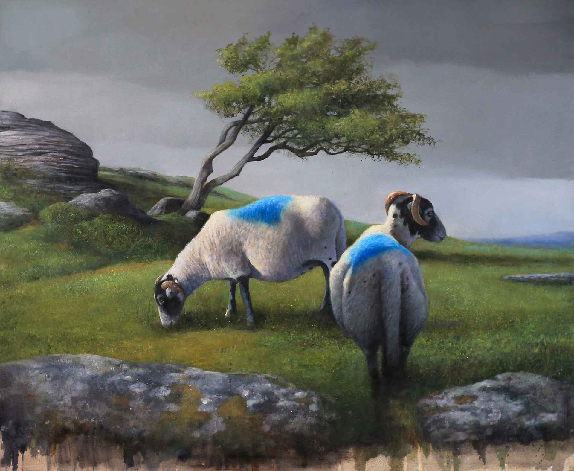 Dartmoor Blue by Andrew Hunt Dartmoor Blue by Andrew Hunt
