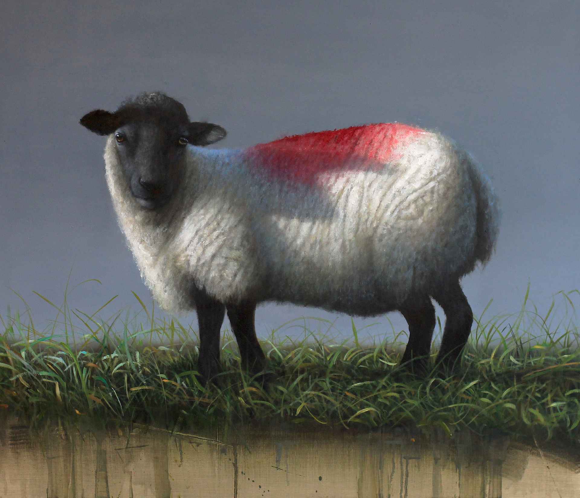 Red Lamb by Andrew Hunt