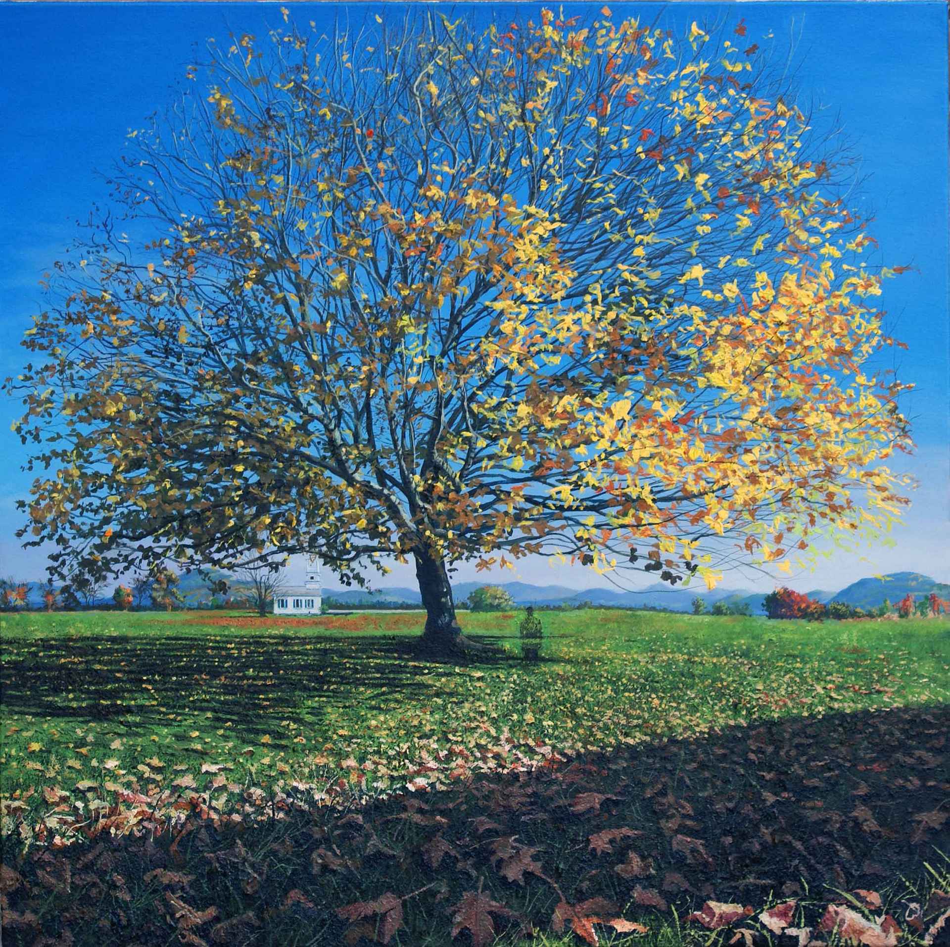 Home by Philip Horrocks Home by Philip Horrocks