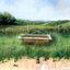 English Hedgerow by Andrew Hunt English Hedgerow by Andrew Hunt