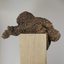 For the Love of Oak by Anna Gillespie For the Love of Oak by Anna Gillespie