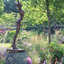 Carpe Diem I by Carol Peace Carpe Diem I by Carol Peace