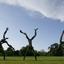 Cartwheel by Sophie Dickens Cartwheel by Sophie Dickens