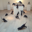 Rats by Sophie Dickens Rats by Sophie Dickens