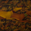 Hounds by Timur D'Vatz Hounds by Timur D'Vatz